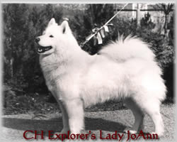 explorer's lady joann